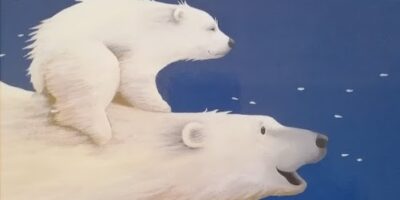 Mama Medvjedica i Mali Medo