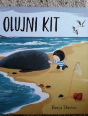 Olujni kit
