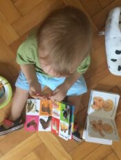 Kakve slikovnice (ne) izabrati za mlađe od 1,5 godine?