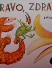 Zdravo, zdravo!
